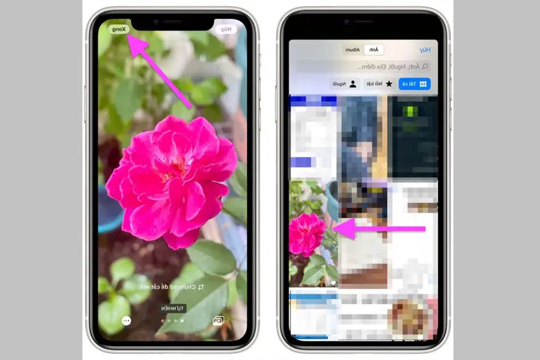 5 Cara mengatur wallpaper iPhone dengan cepat dalam 10 detik