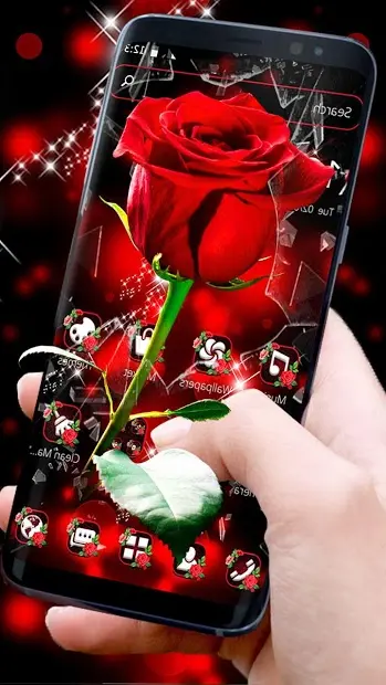 Aplikasi Koleksi wallpaper bunga mawar yang indah | Tautan unduh gratis, cara menggunakan