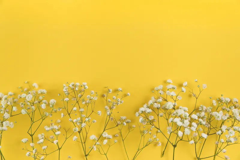 50 ide wallpaper kuning lucu yang indah untuk Anda gunakan sebagai wallpaper