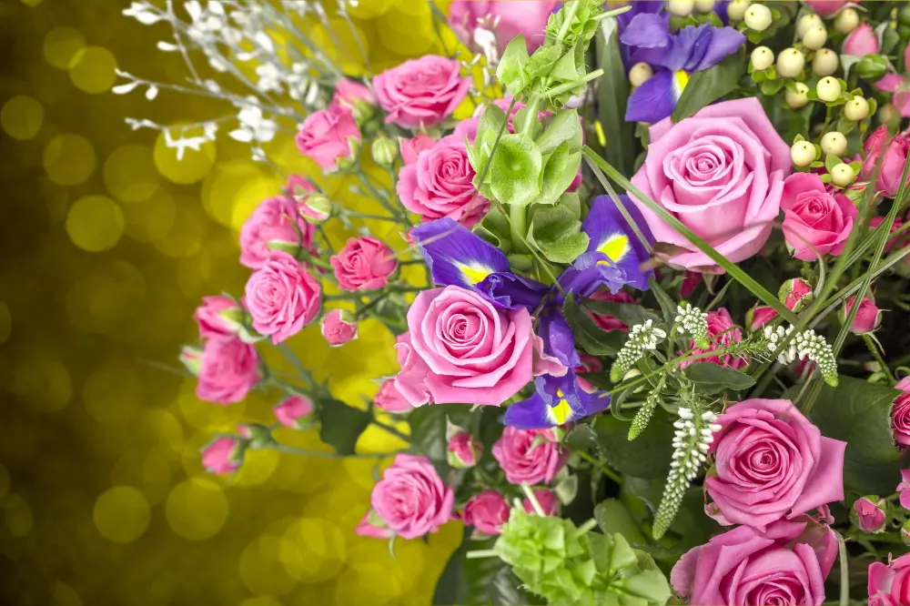 Unduh 120 wallpaper mawar terindah di dunia dalam full HD, sangat tajam | Horoskop, Wallpaper Bunga, Mawar Cantik