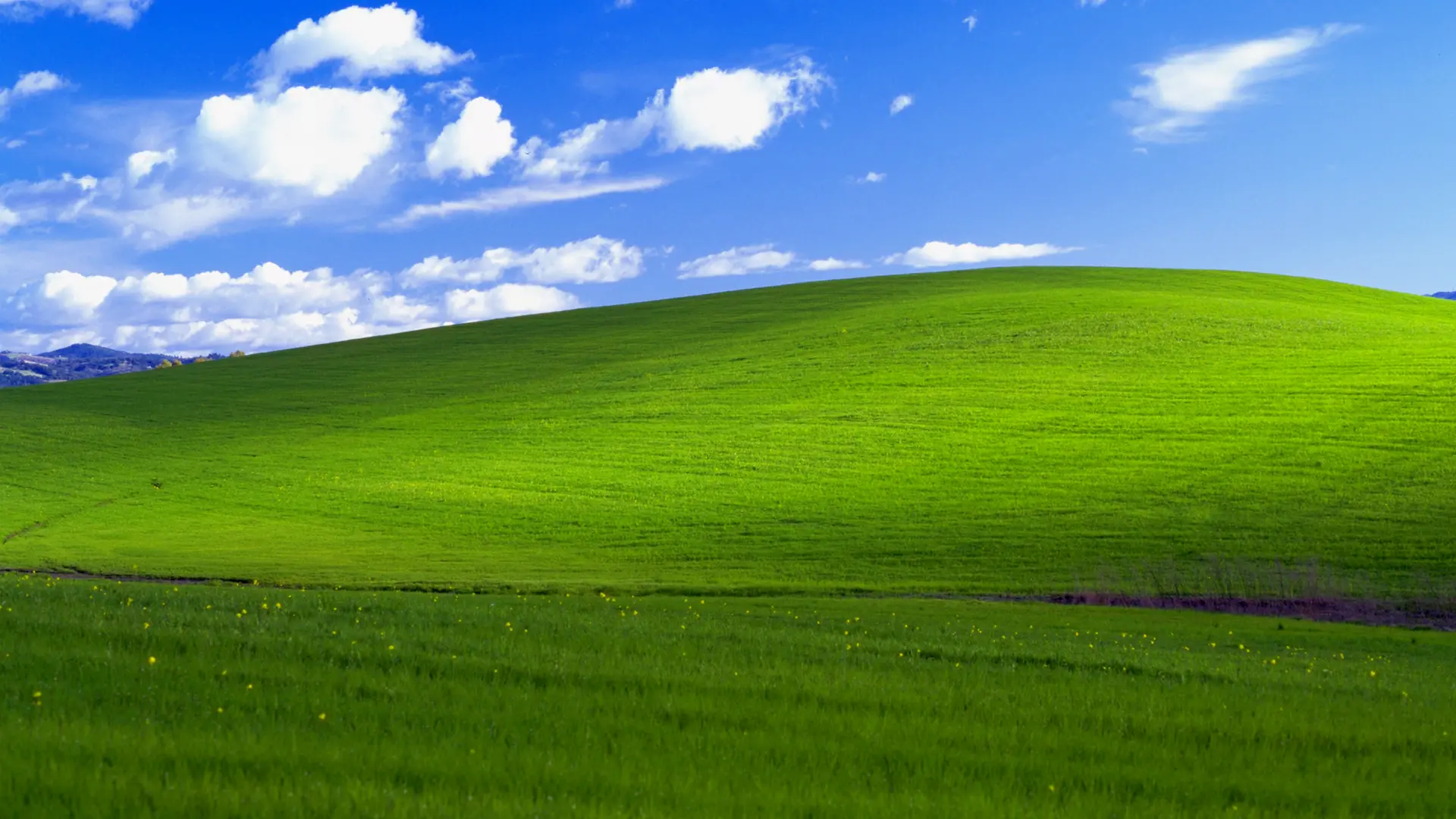 Hanya sedikit orang yang mengetahui kebenaran tentang foto familiar di Windows XP