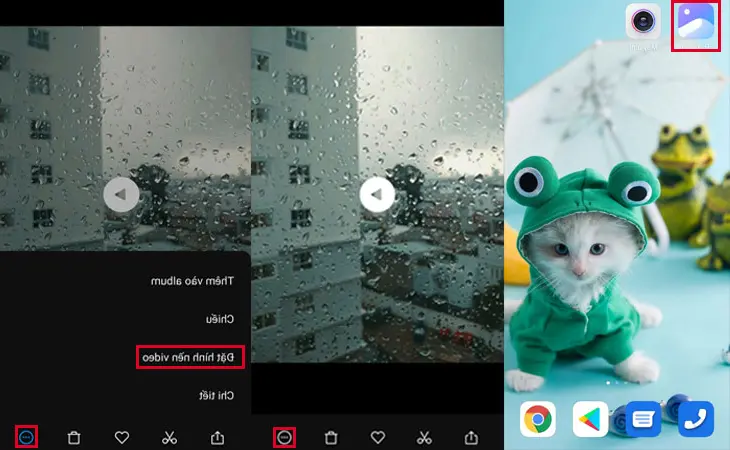 Petunjuk cara menggunakan video sebagai wallpaper hidup di ponsel Xiaomi