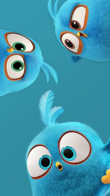DC】Wallpaper burung marah yang menarik - Aplikasi di Galaxy Store | Gambar lucu, Wallpaper burung, Wallpaper burung hantu