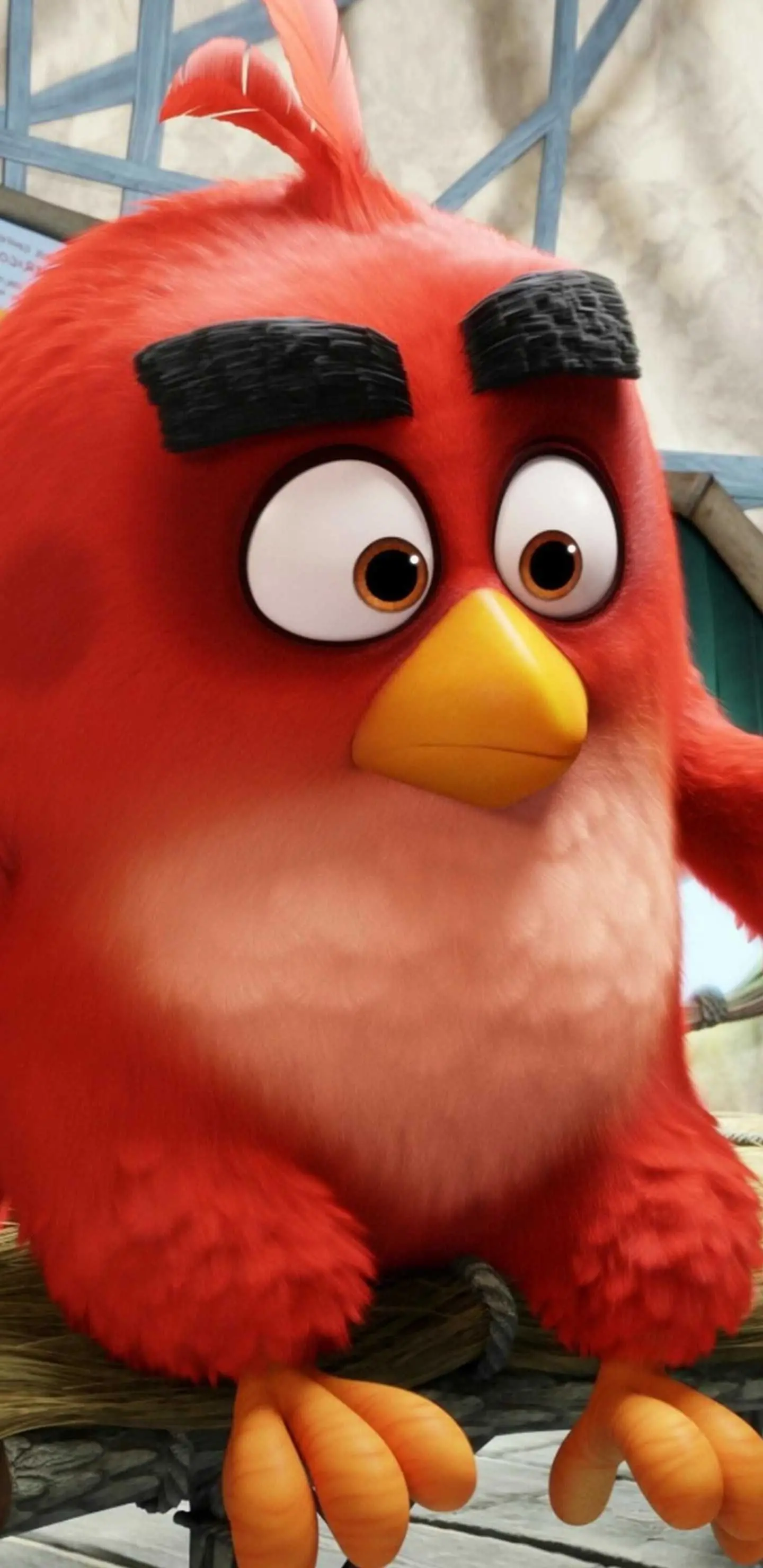 Wallpaper HD Angry Birds Temukan lebih banyak Angry Birds, Puzzle Santai, Terbang, Maemo, Rovio… | Carl dan ellie, Wallpaper anime iphone, Wallpaper anime