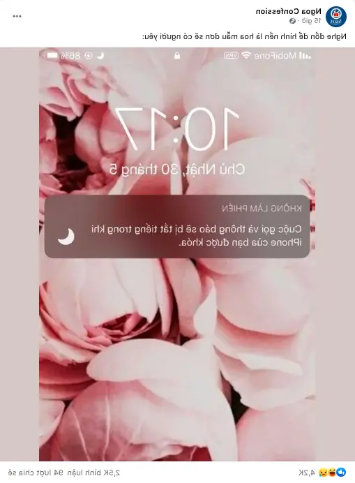 Menjelaskan tren baru Gen Z: Menggunakan bunga peony sebagai wallpaper ponsel akan memberi Anda keberuntungan dan punya kekasih?