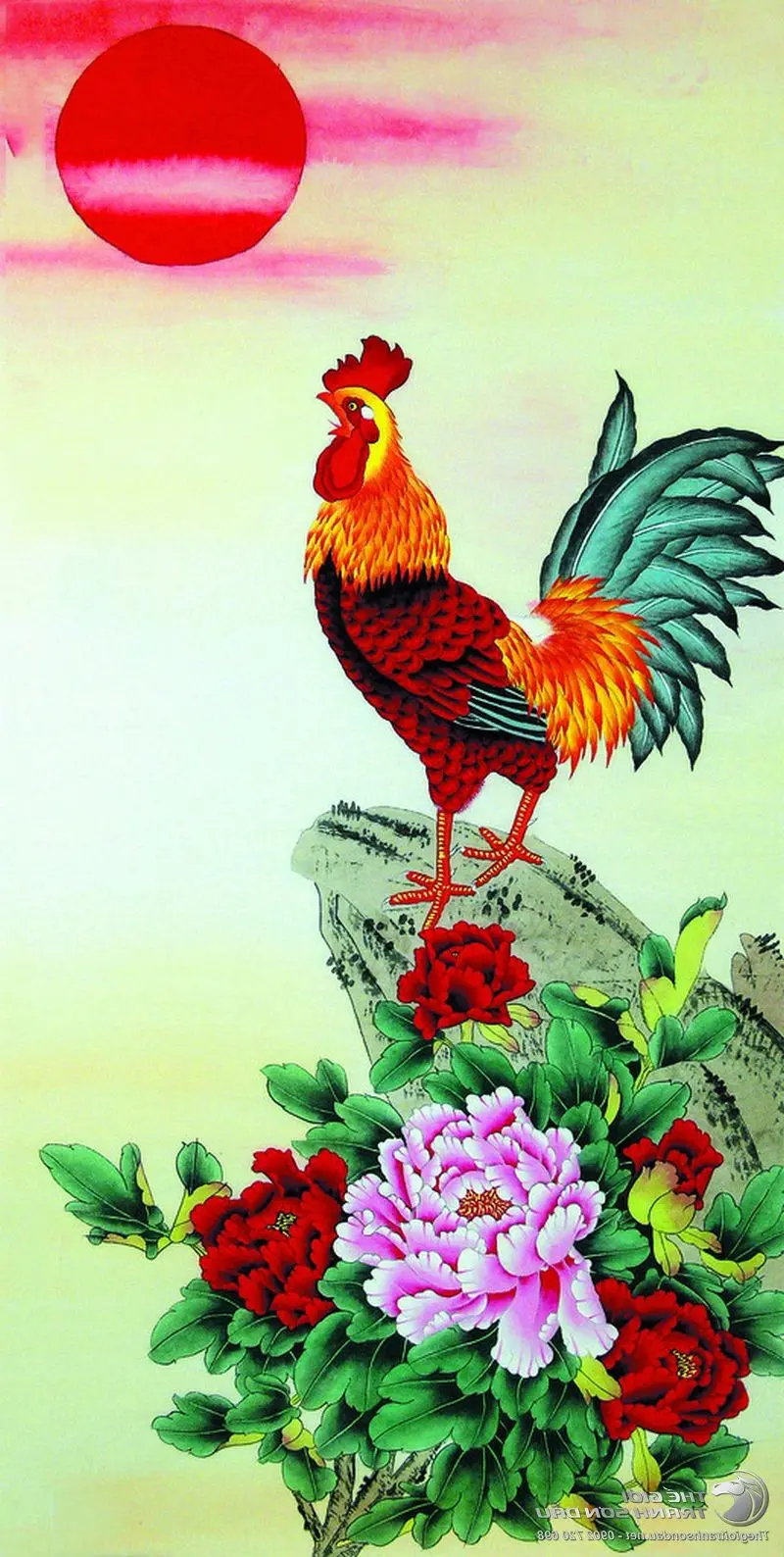 101 Wallpaper Ayam Jantan Terindah di Cabang Kumquat