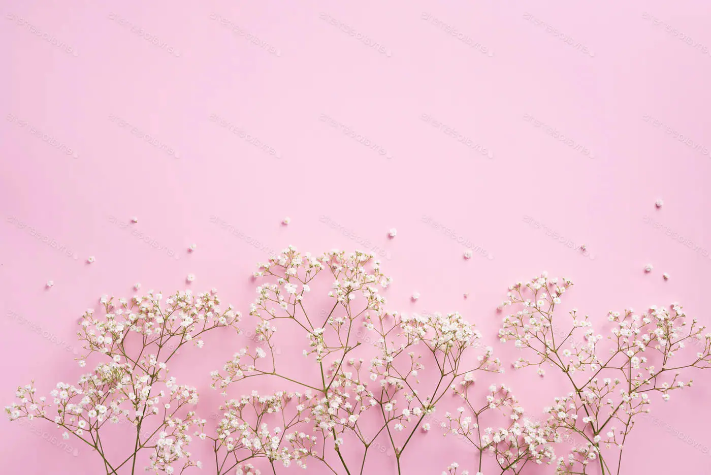 99 wallpaper merah muda pastel teratas - Latar belakang merah muda yang indah