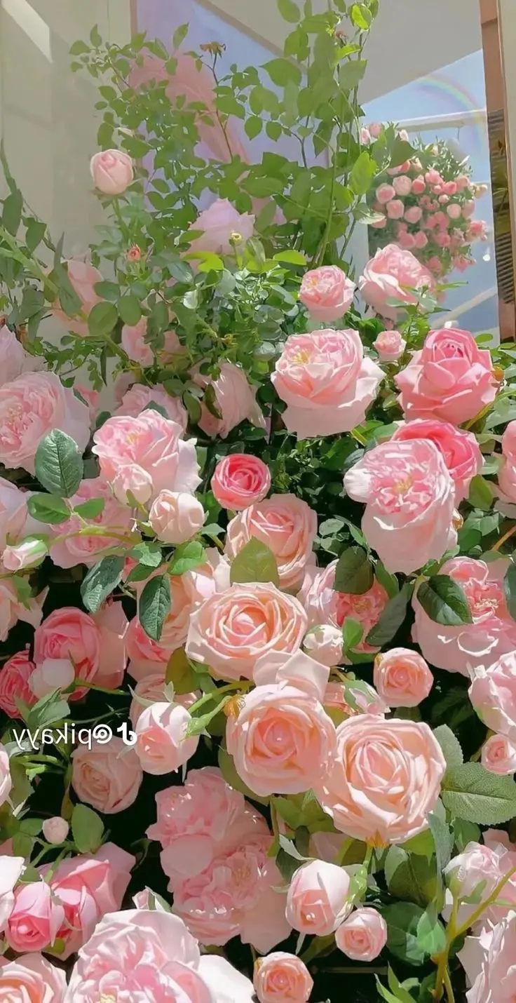 101 Wallpaper Mawar Cantik Teratas dalam Full HD