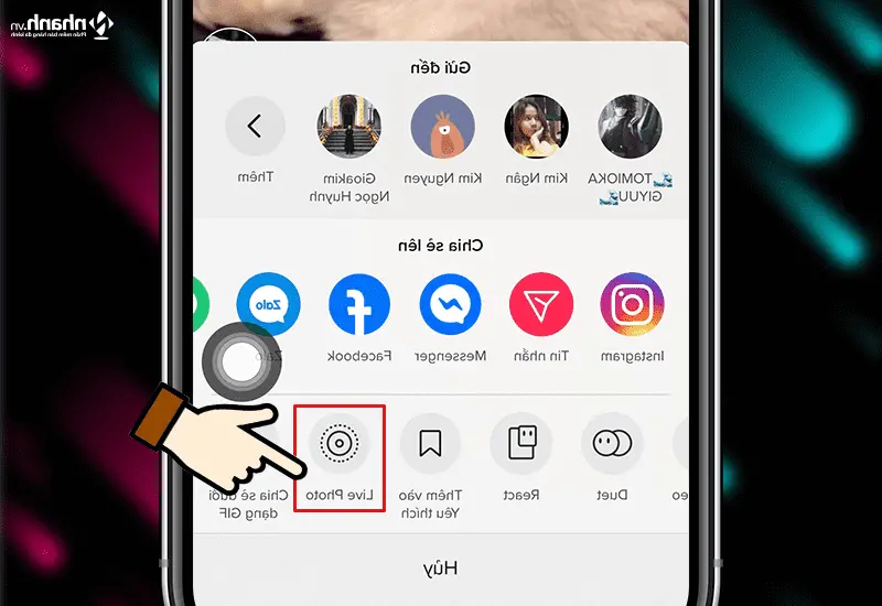 Cara menggunakan video TikTok sebagai wallpaper dengan musik untuk Android, iPhone - Quick.vn