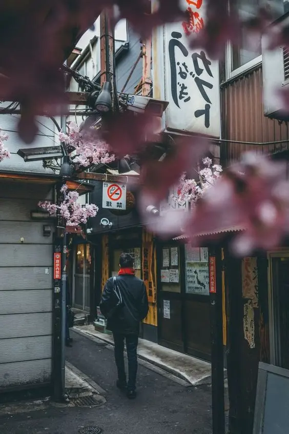 50 wallpaper pemandangan indah untuk ponsel Anda | Fotografi Jepang, Tokyo Jepang, perjalanan Jepang