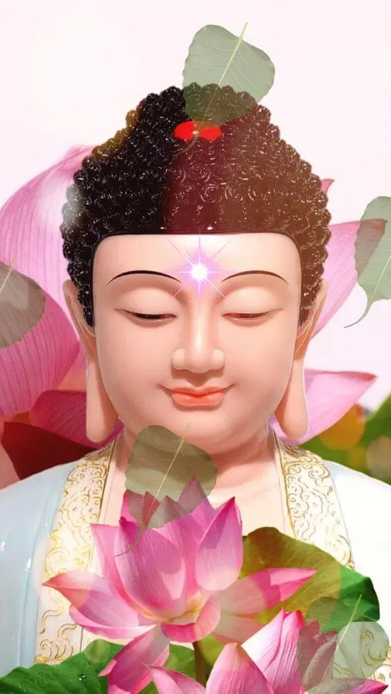 Kumpulan gambar Buddha cantik sebagai wallpaper ponsel terindah tahun 2023 - META.vn