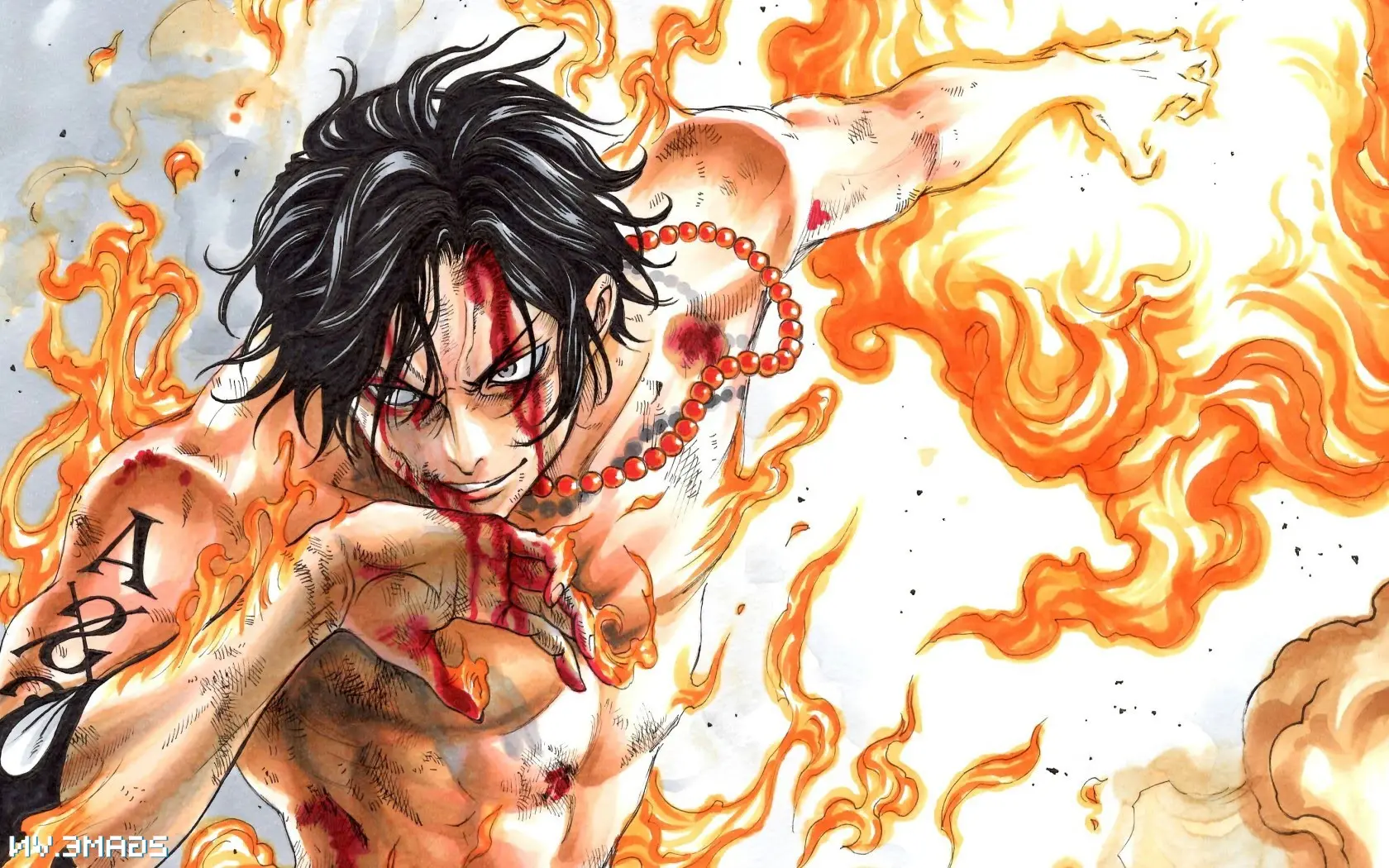 Pirate's Revenge - Penggemar One Piece berdebat karena Ace sekuat Shirohige dan Shanks Berambut Merah