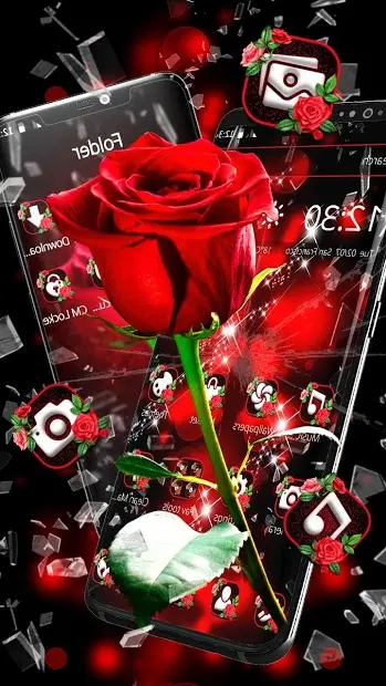 Aplikasi Koleksi wallpaper bunga mawar yang indah | Tautan unduh gratis, cara menggunakan
