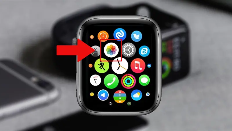 Cara melihat foto, mengatur foto sebagai latar belakang jam tangan, dan menghapus foto di Apple Watch - Thegioididong.com
