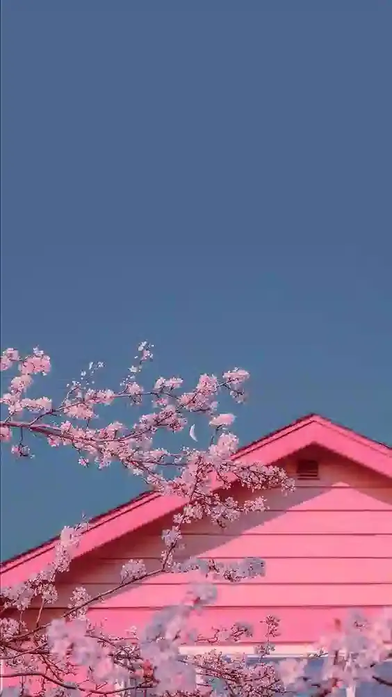 Bagikan 30 wallpaper merah muda yang cantik dan lucu untuk ponsel Anda - Fptshop.com.vn