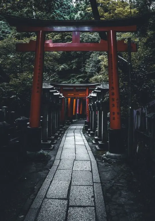 50 wallpaper pemandangan indah untuk ponsel Anda | Tujuan perjalanan Jepang, lanskap Jepang, perjalanan Jepang