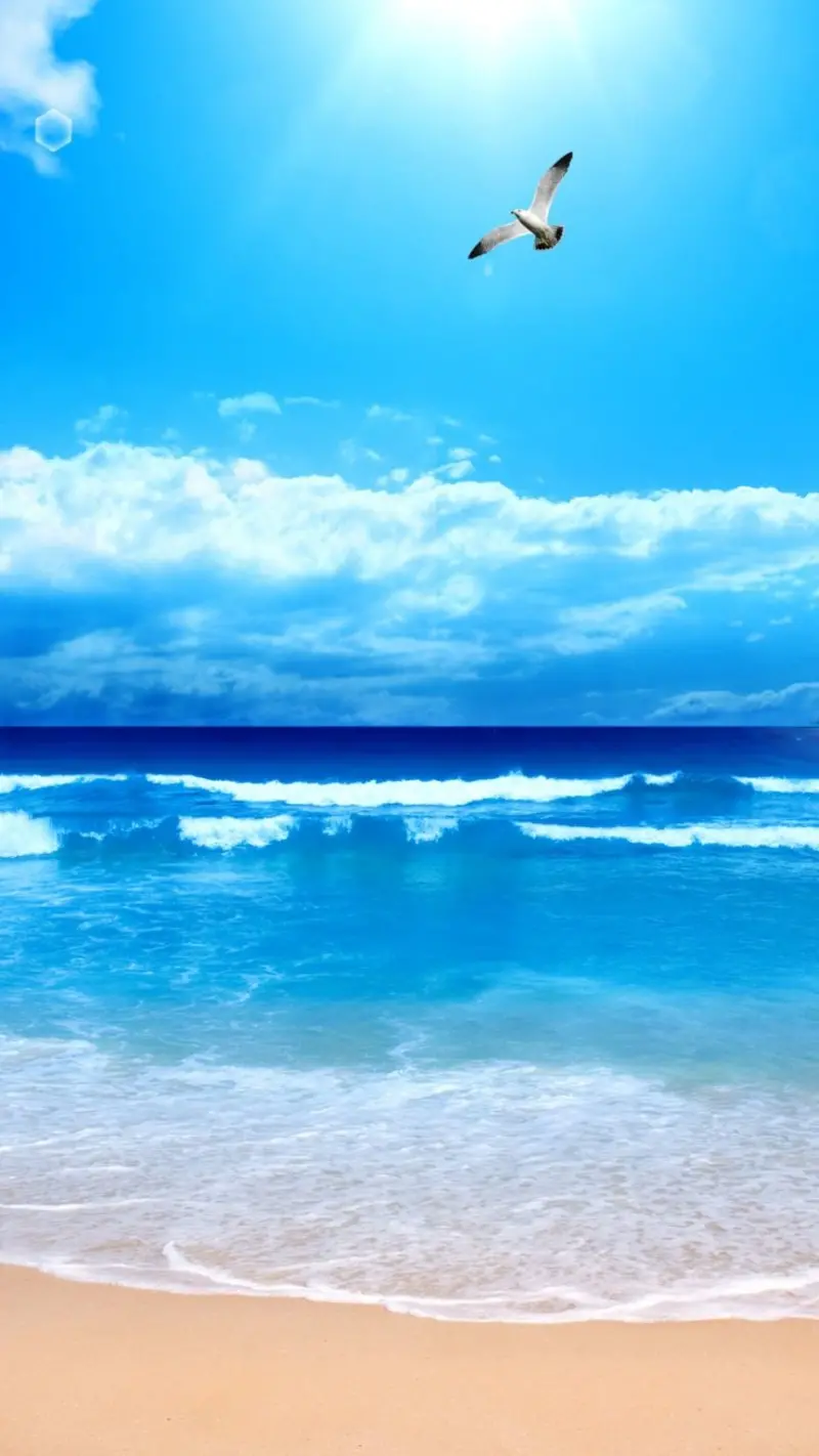 Bagikan dengan lebih dari 52 tentang wallpaper laut untuk iphone - cdgdbentre.edu.vn