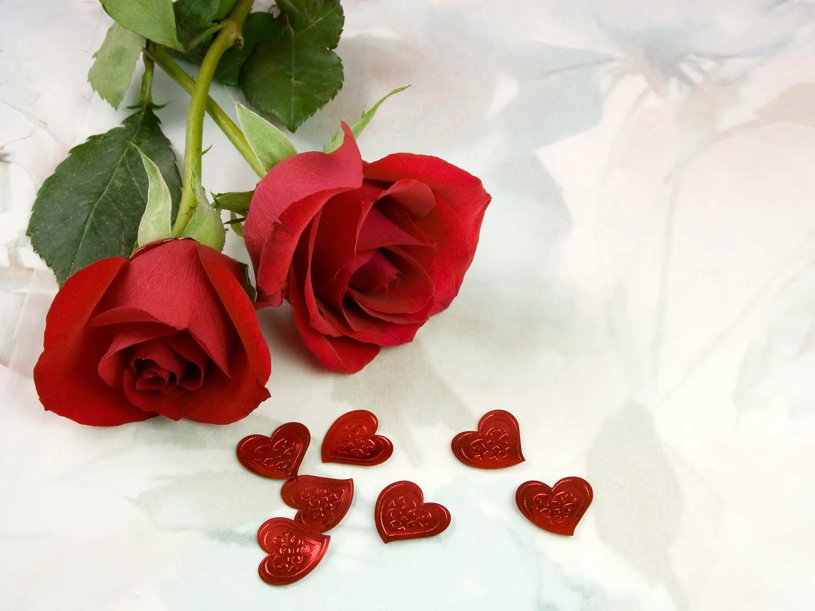 300 gambar mawar cantik yang sayang untuk dilewatkan - Foto mawar Hari Valentine 14 Februari, Foto mawar 8 Maret, Foto mawar 20 Oktober
