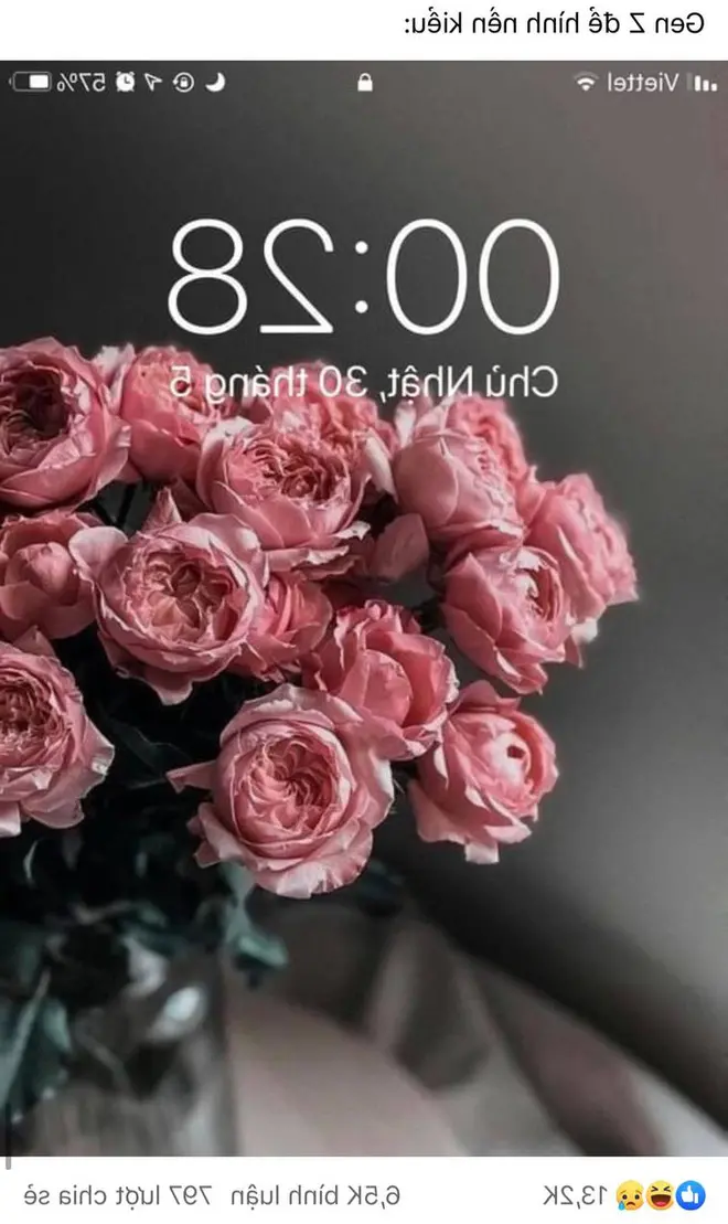 Game baru Gen Z yang keren: Tetapkan gambar bunga peony sebagai wallpaper ponsel Anda