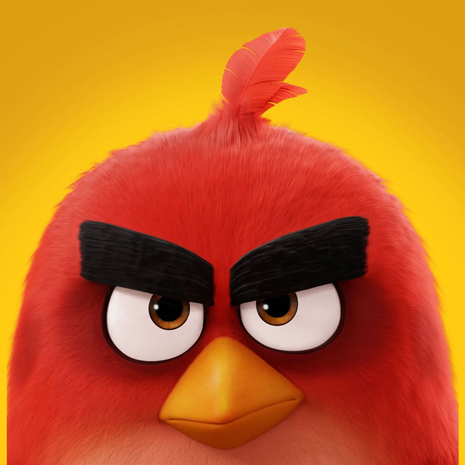 Unduh Wallpaper Angry Birds Movie 2 Tampilan Mengancam | Wallpaper.com