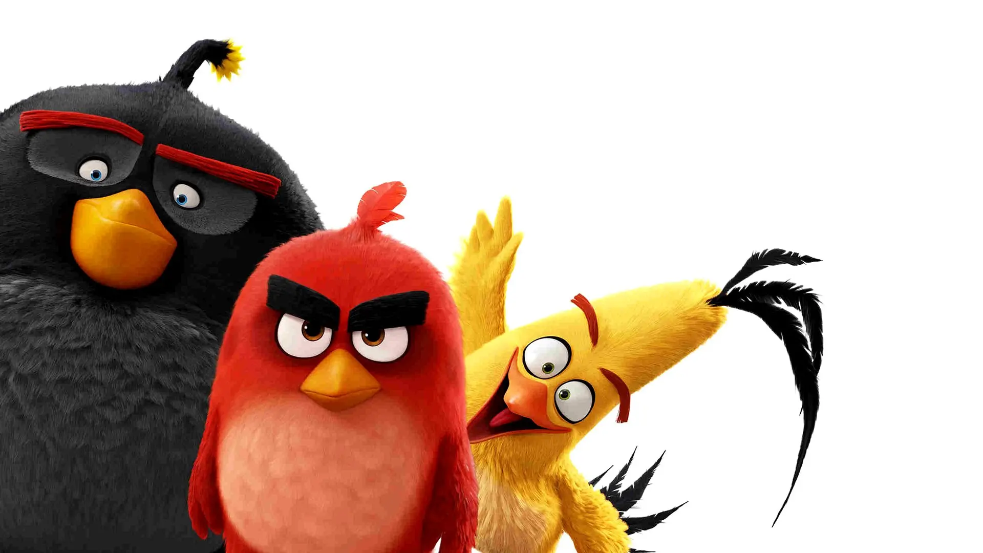 Film Wallpaper HD Film Angry Birds