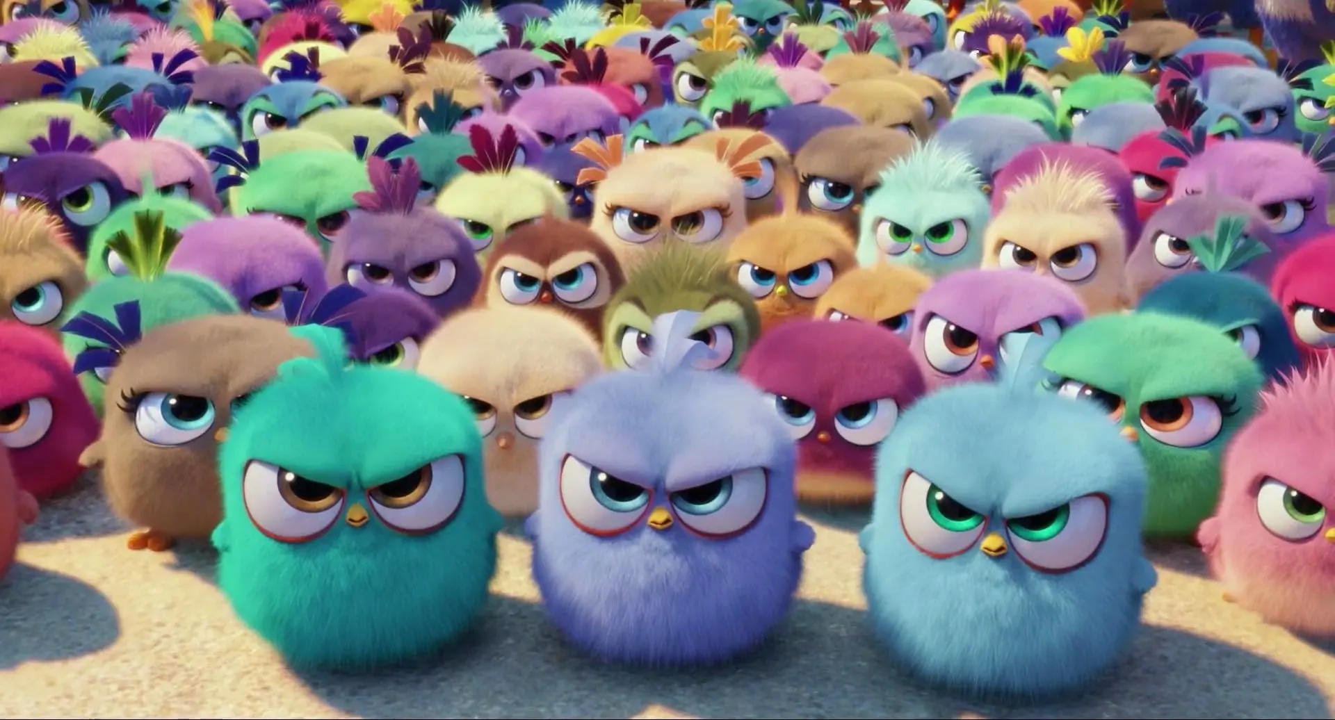 Film Wallpaper Film Angry Birds